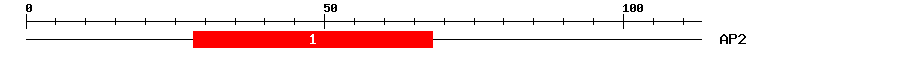 Signature Domain