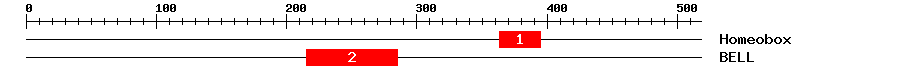 Signature Domain