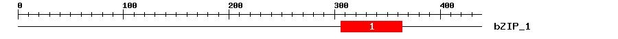 Signature Domain