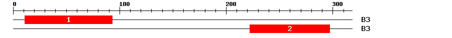 Signature Domain