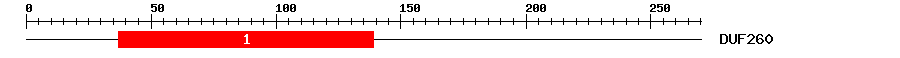 Signature Domain