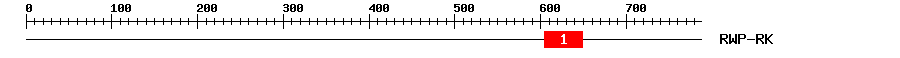 Signature Domain