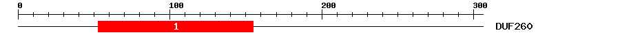 Signature Domain