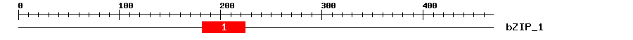 Signature Domain