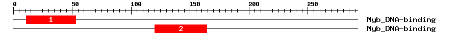 Signature Domain