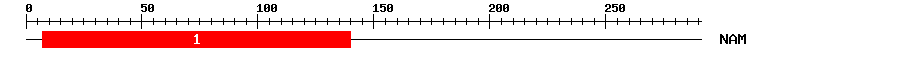 Signature Domain