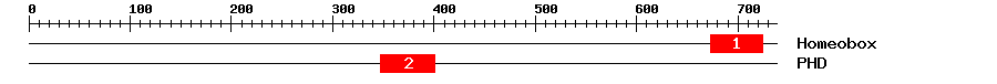 Signature Domain