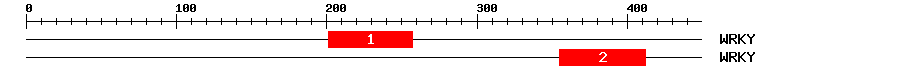 Signature Domain