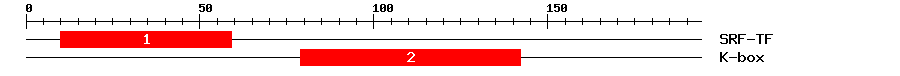 Signature Domain