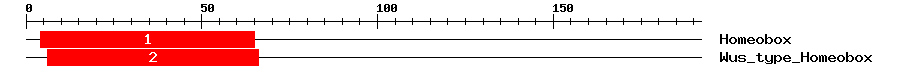 Signature Domain