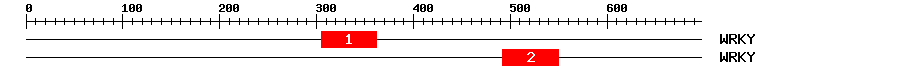 Signature Domain