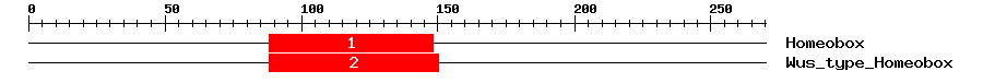Signature Domain