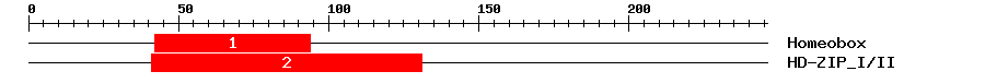 Signature Domain