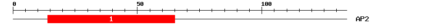 Signature Domain