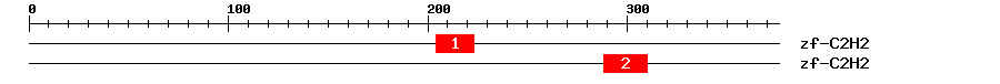 Signature Domain