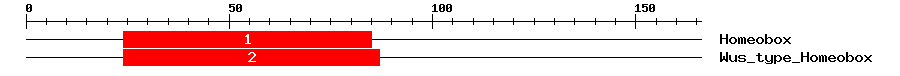 Signature Domain
