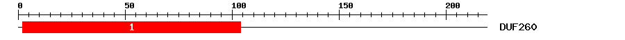 Signature Domain