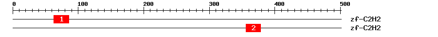 Signature Domain