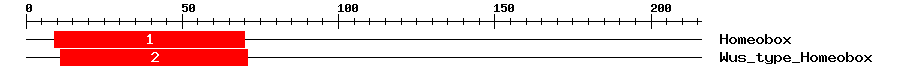 Signature Domain