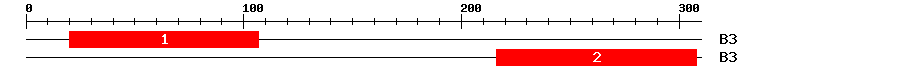 Signature Domain