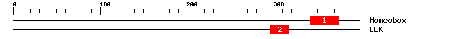 Signature Domain