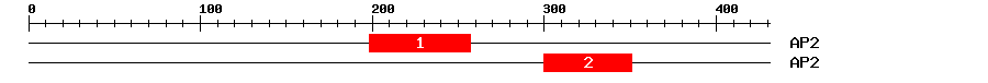 Signature Domain