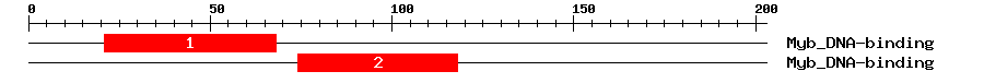 Signature Domain