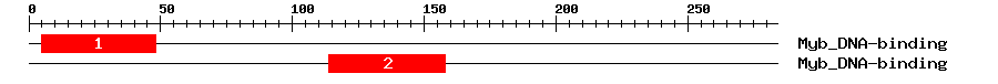 Signature Domain