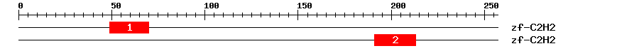 Signature Domain