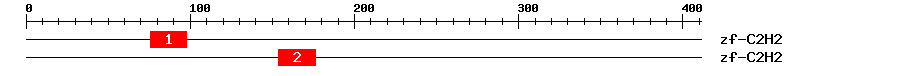 Signature Domain