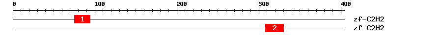Signature Domain