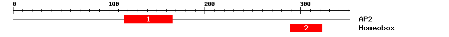 Signature Domain