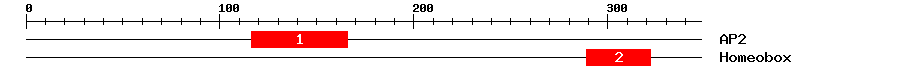 Signature Domain