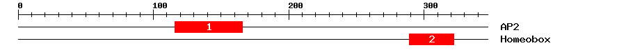 Signature Domain