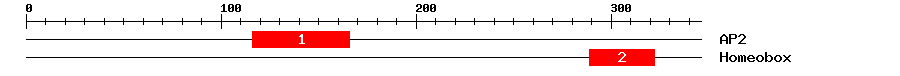 Signature Domain