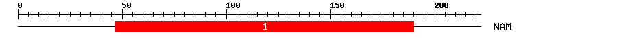 Signature Domain