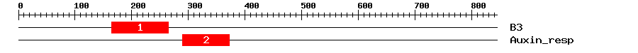 Signature Domain