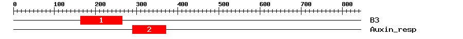 Signature Domain