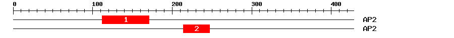 Signature Domain