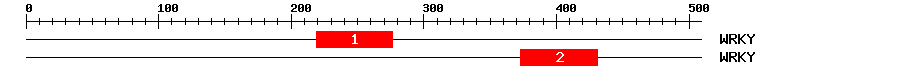 Signature Domain