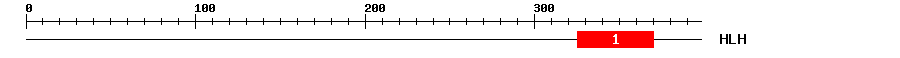 Signature Domain