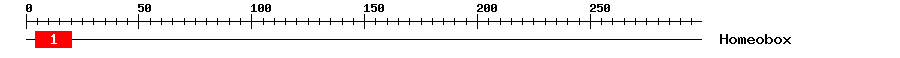 Signature Domain