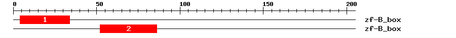 Signature Domain