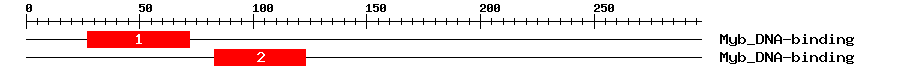 Signature Domain