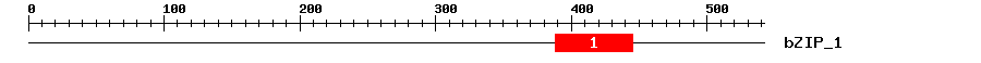 Signature Domain