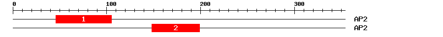 Signature Domain