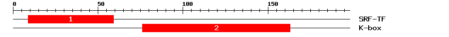 Signature Domain