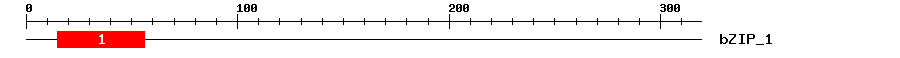 Signature Domain