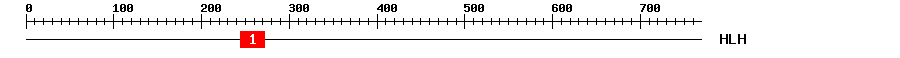 Signature Domain