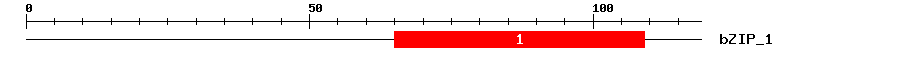 Signature Domain